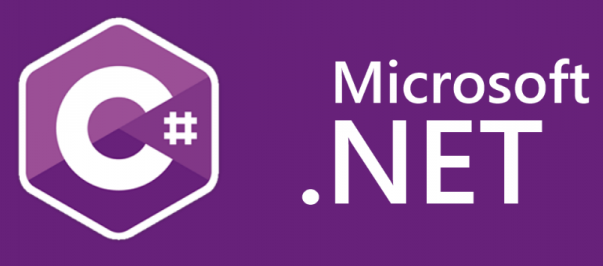 MS C# Visual Studio programming Anderson IN